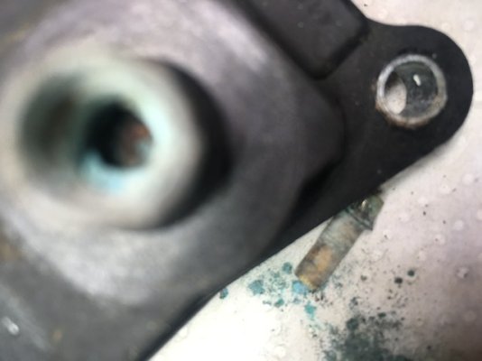 CA1B4906-94D9-4DB0-81E5-176261526ADB.jpeg CA1B4906-94D9-4DB0-81E5-176261526ADB.jpeg
