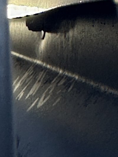 IMG_5679.jpeg IMG_5679.jpeg