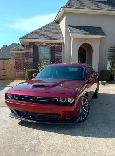 IMG_20250216_143109476_HDR.jpg