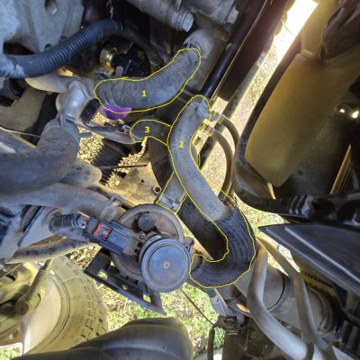 heaterhoses.jpg