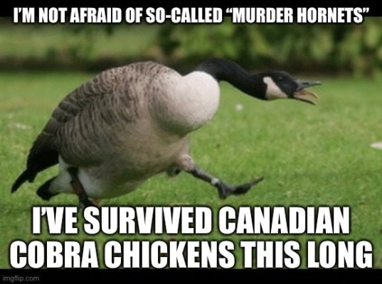 1746622587090.png