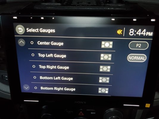 Sony Gauge Customization.jpg