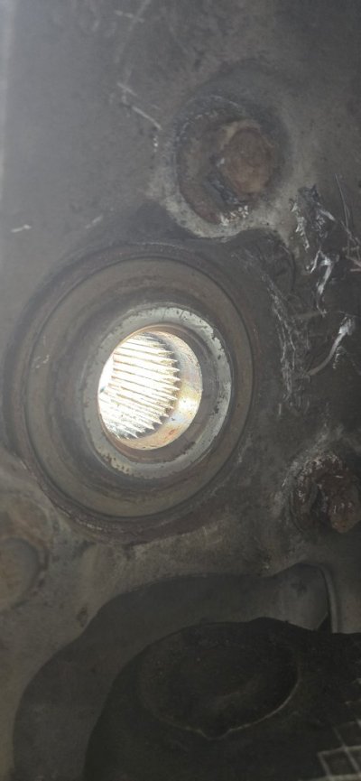 20250529_194609.jpg