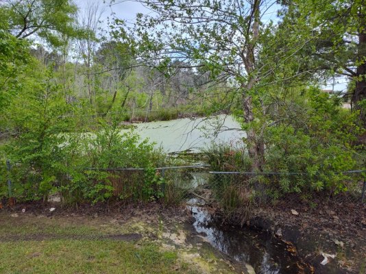 IMG_20250503_173026678_HDR.jpg