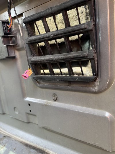 IMG_3081.jpeg