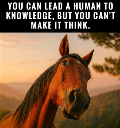 1751452940851.png