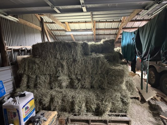 Hay all 85 bales stacked.JPG