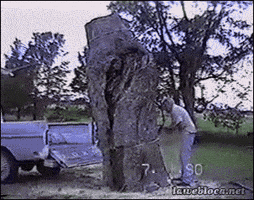 200.gif
