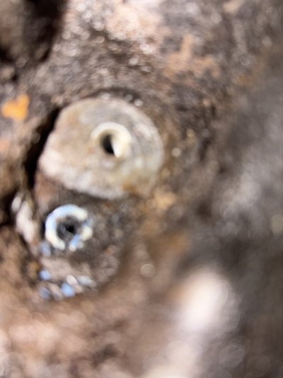 IMG_0781.jpeg