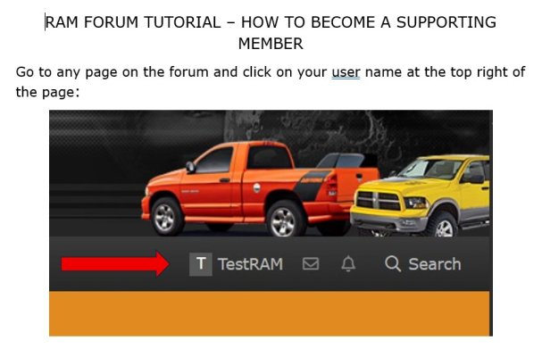 SM 04.jpg