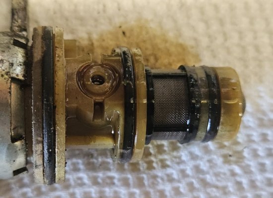 20250830_132414.jpg