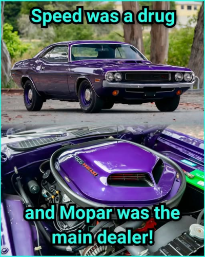 1758850262726.png