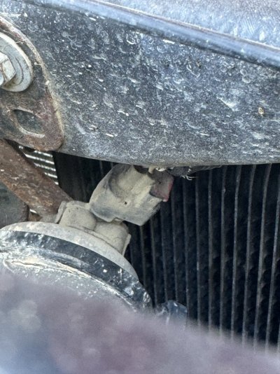 IMG_4931.jpeg IMG_4931.jpeg