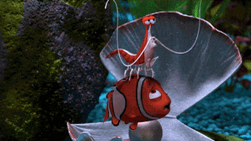 200.gif 200.gif