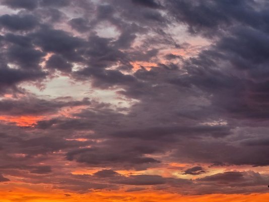 20250930_071044.jpg