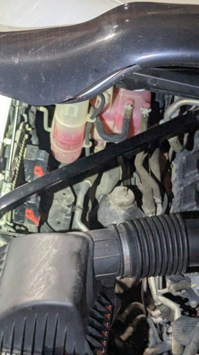 PXL_20251107_024224250.jpg
