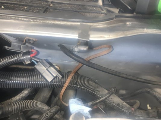 Engine , Ground strap.JPG Engine , Ground strap.JPG