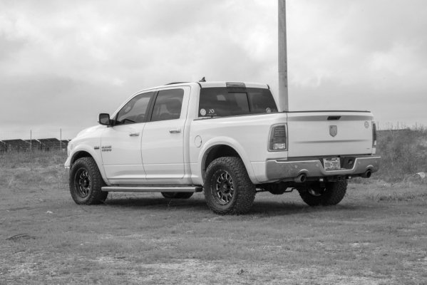 DSC_9888_2bw.jpg