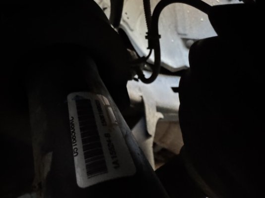 IMG_2550 (1).jpeg