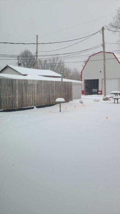 20260125_112917.jpg