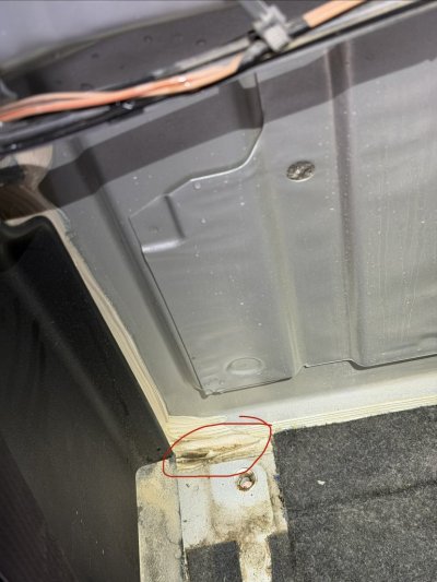 IMG_9009.jpeg IMG_9009.jpeg