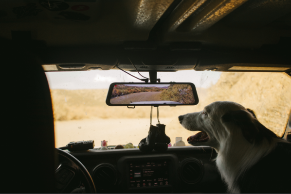 Wolfbox dash cam.png Wolfbox dash cam.png
