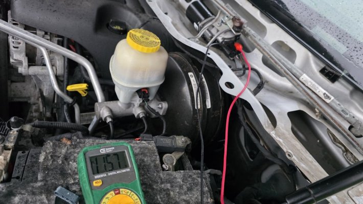 8208.jpg