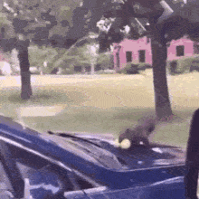 ezgif-78026c635d96a1dc.gif ezgif-78026c635d96a1dc.gif