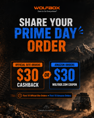 orders share.png orders share.png