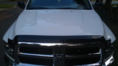 IMAG0079.jpg