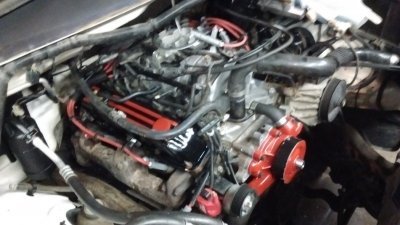 IMG_20160409_155425296.jpg