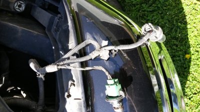 20160428_142223.jpg