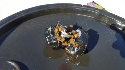 20160131_125430.jpg