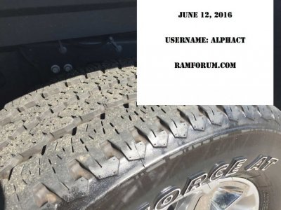 tread-tread-sell-RF.jpg