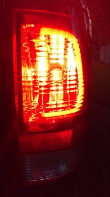 IMAG0219.jpg