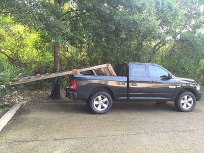 Tree Stand.jpg