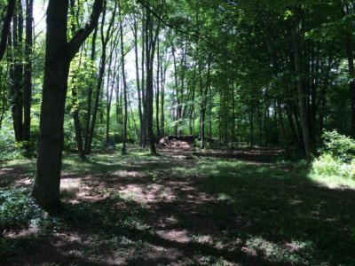 IMG_0962.jpg