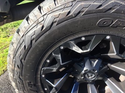 IMG_2649.jpg