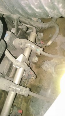 IMG_20161229_105123046.jpg