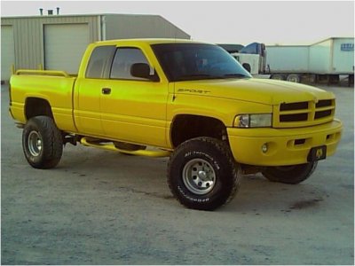 my yellow.jpg