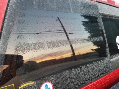 20170323_071902.jpg