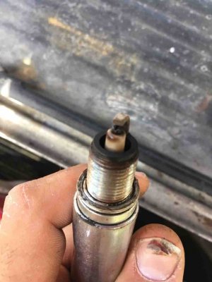 IMG_1784.JPG