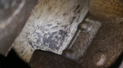 20170629_135226.jpg