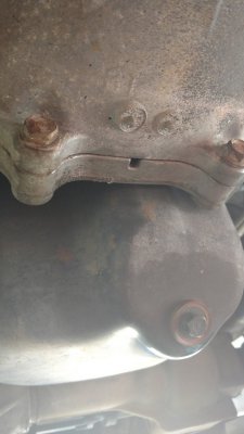 IMG_20170805_101546692.jpg