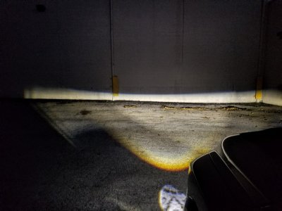20171026_064925 (Medium).jpg