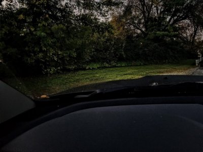 20171026_070509 (Medium).jpg