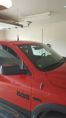 Black Radio Antenna.jpg