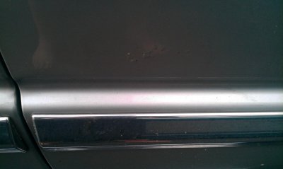 IMAG0328.jpg