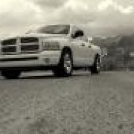 Desert_Ram