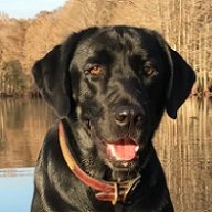 BlackLab